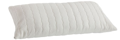 Latex-Kissen LK 50 mit zwei herausnehmbaren Platten aus Latex. Lavendelkissen-Einleitung-NEU